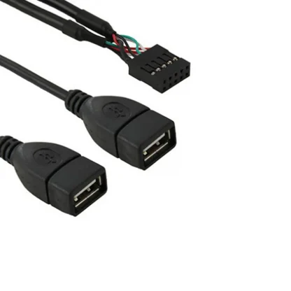 Motherboard 9Pin to Dual USB 2.0 Female Adapter Cable - 30cm/50cm Extension for Efficient Connectivity Product Image #507 With The Dimensions of 800 Width x 800 Height Pixels. The Product Is Located In The Category Names Computer & Office → Computer Cables & Connectors